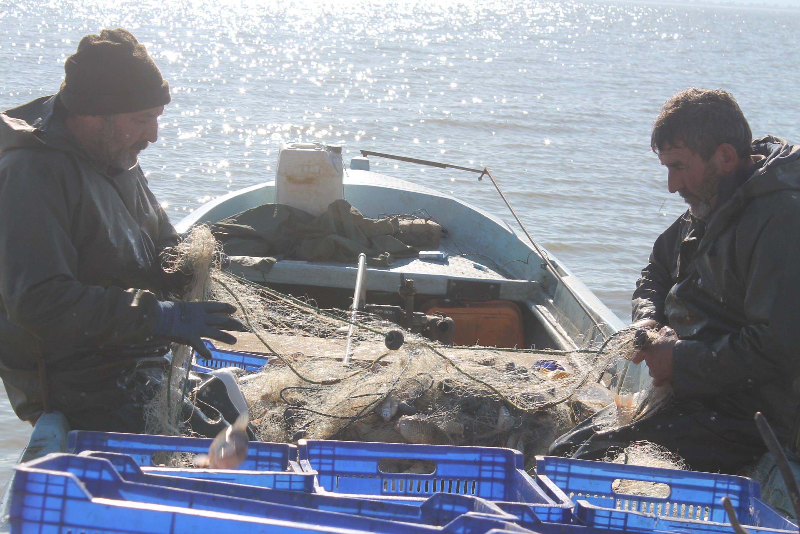 Manyas Gölü’nde balık avı yasağı yarın başlıyor