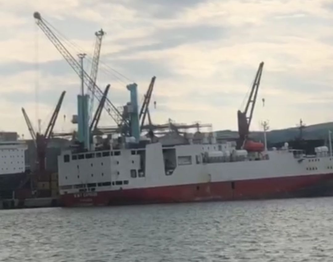 Canlı hayvan ithalatı Bandırma Limanı’nda devam ediyor