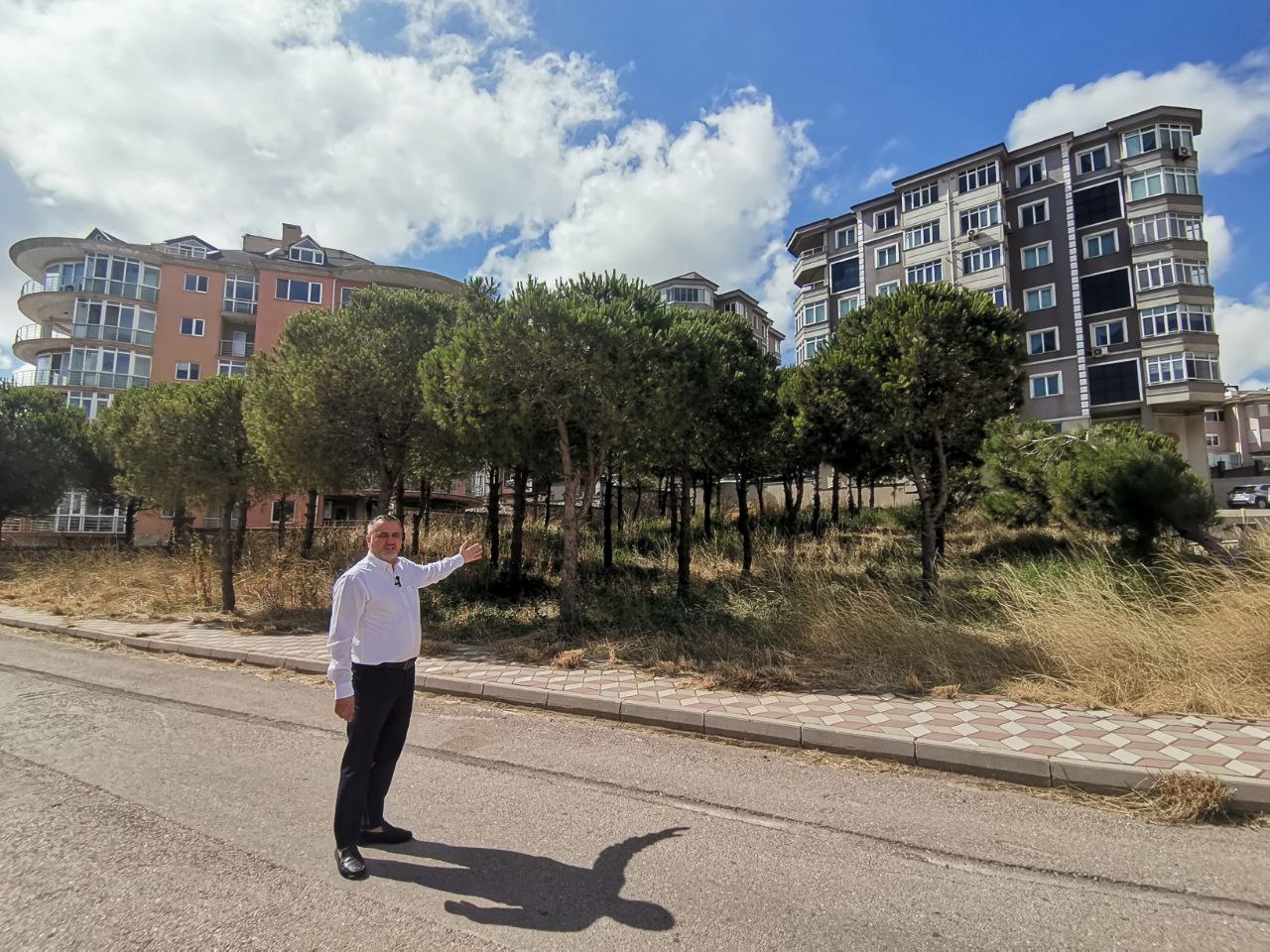 Bandırma Belediyesi Yer Satışı İçin Ağaçları Sökecek, Malta Deresine Taşıyacak
