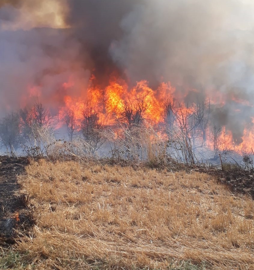 Bandırma’da arazi yangını 4 saatte söndürüldü