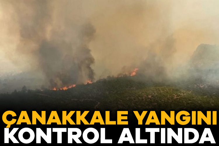 Bakan Yumaklı: Çanakkale yangını kontrol altında