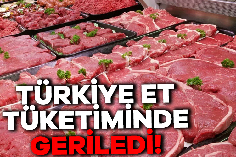 Türkiye et tüketiminde geriledi!