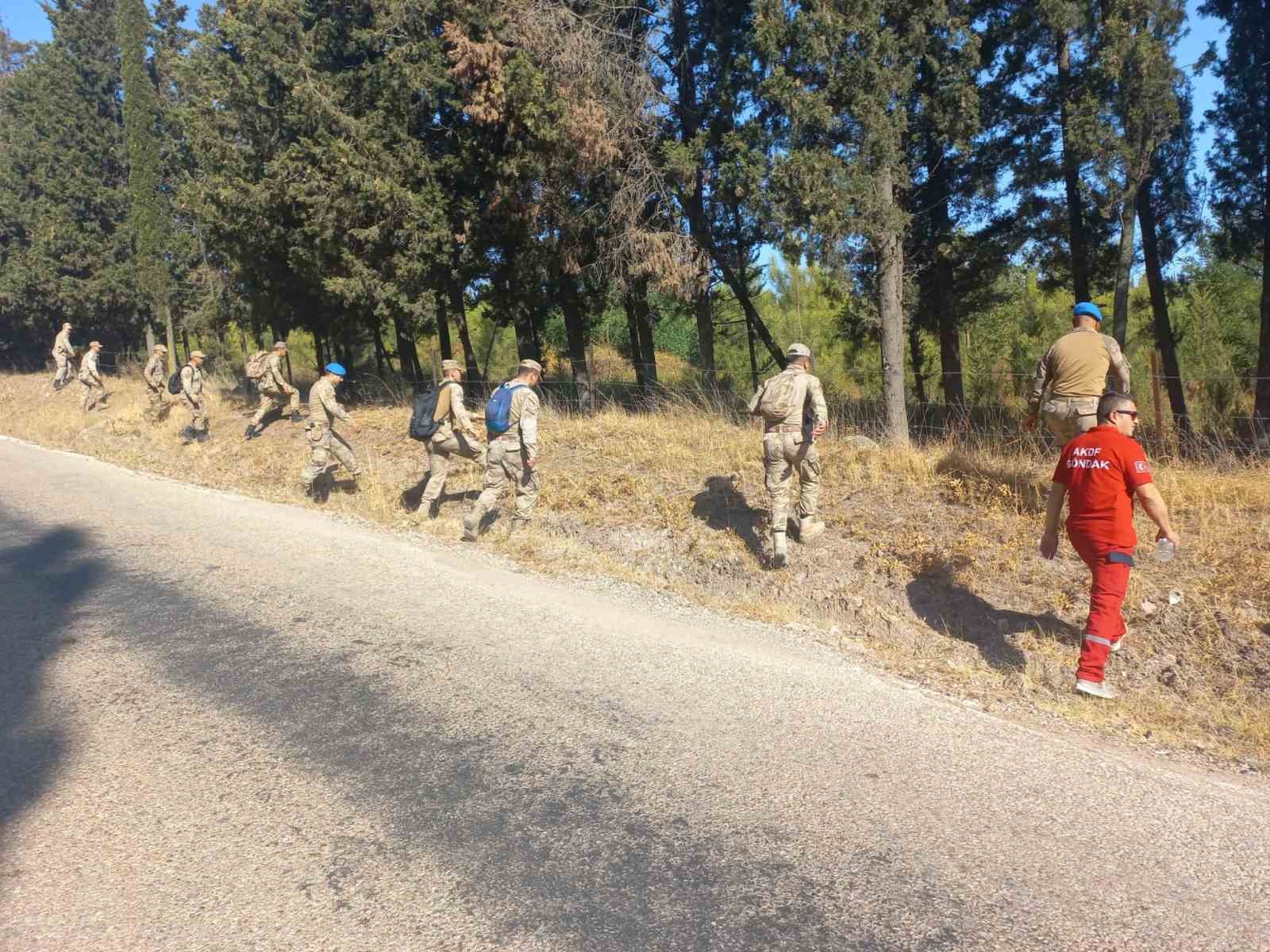 Berzeg için ormanlar karış karış aranıyor