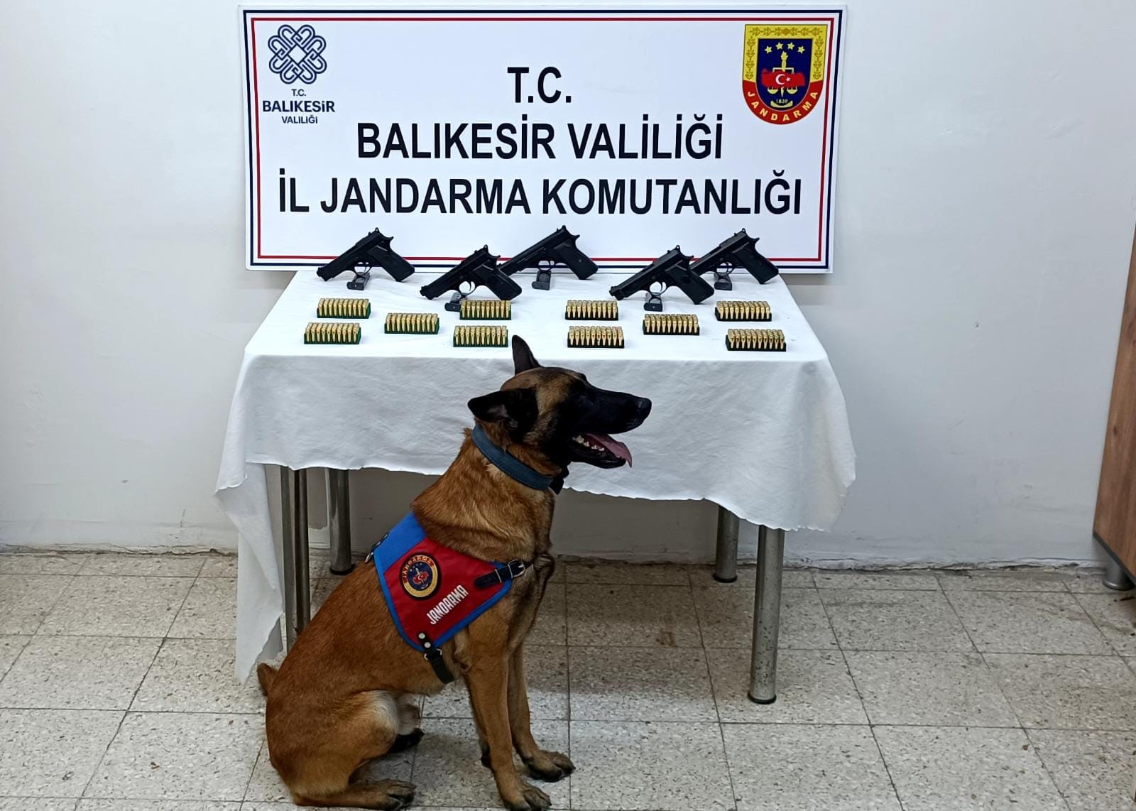Bomba köpeği ‘Vaha’ kaçak silahları buldu