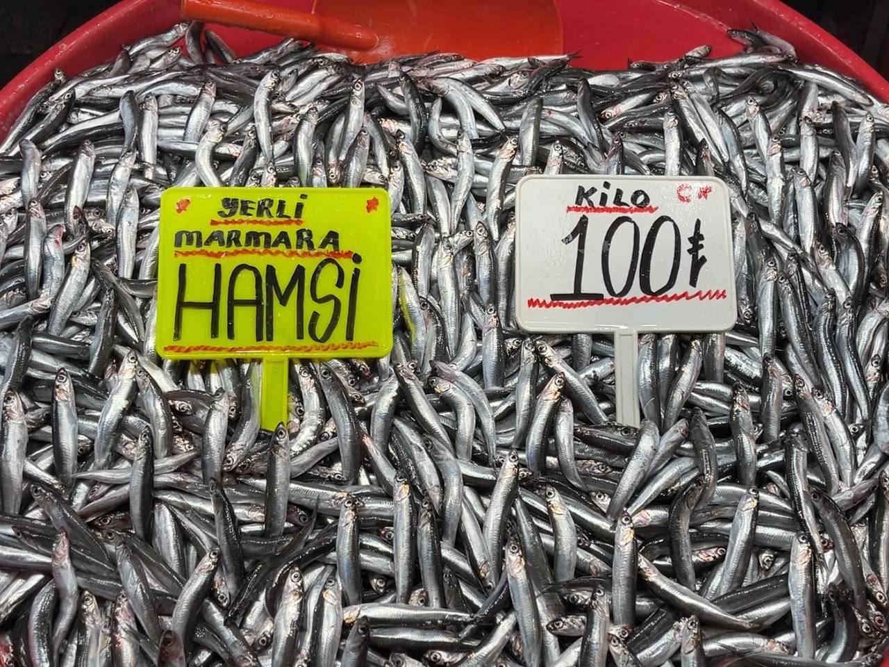 Hava Soğudu, Hamsi Bollaştı