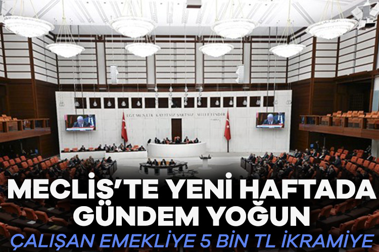 Meclis’te yeni haftada gündem yoğun: Çalışan emekliye 5 bin TL ikramiye