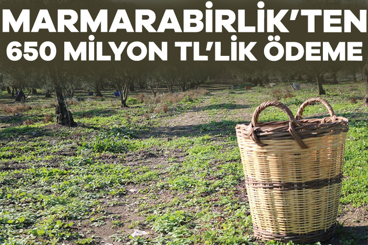 Marmarabirlik’ten 650 milyon TL’lik ödeme