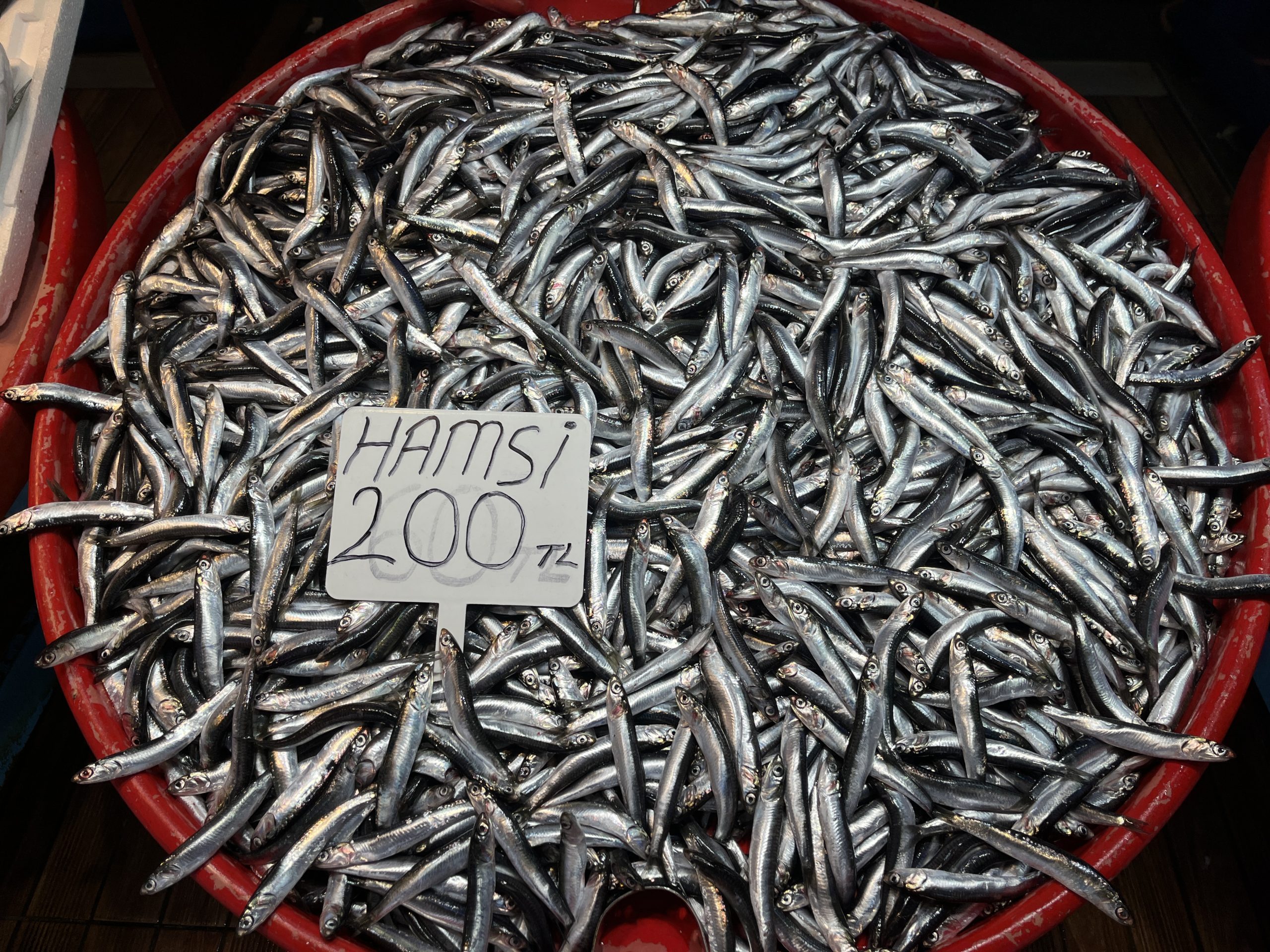 HAVA BOZDU, HAMSİ REKOR KIRDI