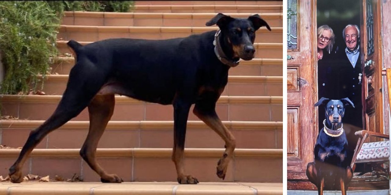 200 GÜNDÜR HABER ALINAMAYAN BERZEG’İN ARAÇLA KAÇIRILDIĞI İDDİA EDİLİYOR