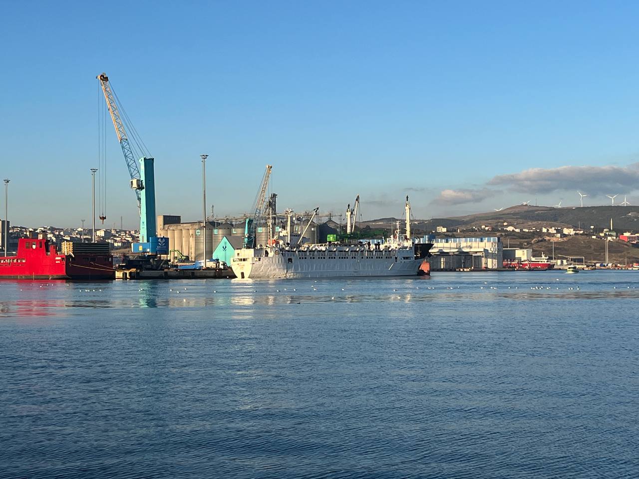 2024’ÜN İLK YÜZEN AHIRI BANDIRMA’DA