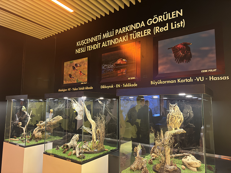 Kuşcenneti Milli Parkı’nda kuş heykeli ve tahnitlerinin sergilendiği bina yenilendi