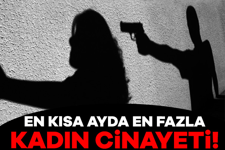 En kısa ayda en fazla kadın cinayeti: 36 kadın öldürüldü!