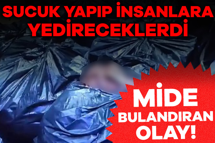 Mide bulandıran olay! Sucuk yapıp insanlara yedireceklerdi