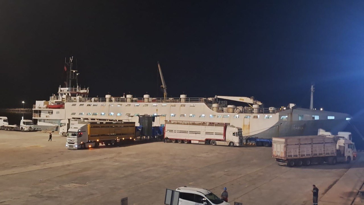 “Yüzen Ahır” Bandırma halkının sağlığını tehlikeye atıyor