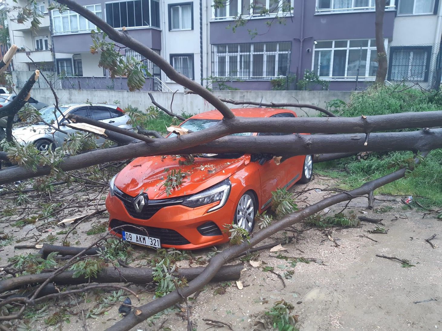 BANDIRMA’DA, ÇÜRÜYEN AĞAÇ OTOMOBİLİN ÜZERİNE DEVRİLDİ