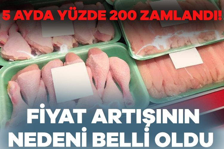 5 ayda yüzde 200 zamlandı! Bakanlık harekete geçti: Fiyat artışının nedeni belli oldu