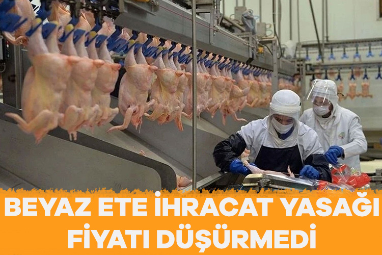 Beyaz ete ihracat yasağı fiyatı düşürmedi, orta vadede artış endişesi doğdu