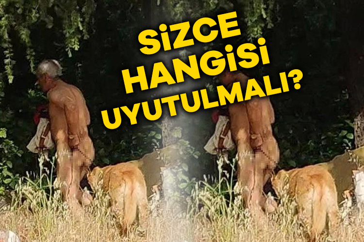 Köpek istismarı görüntülendi!