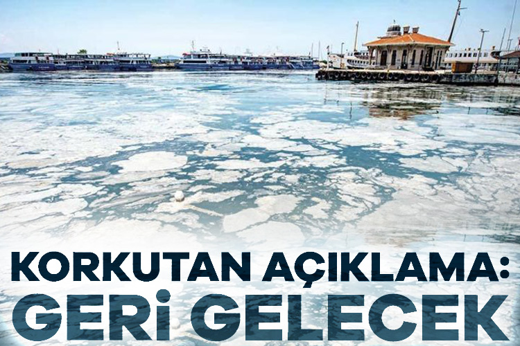 Prof. Dr. Mustafa Sarı uyardı: Müsilaj geri gelecek